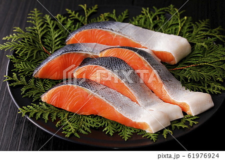銀鮭 61976924