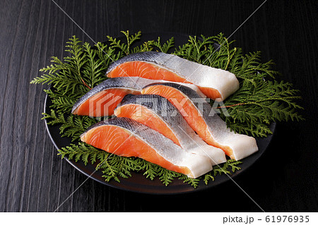 銀鮭 61976935