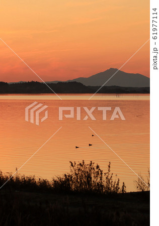 涸沼の夕景 涸沼の夕景 61977114