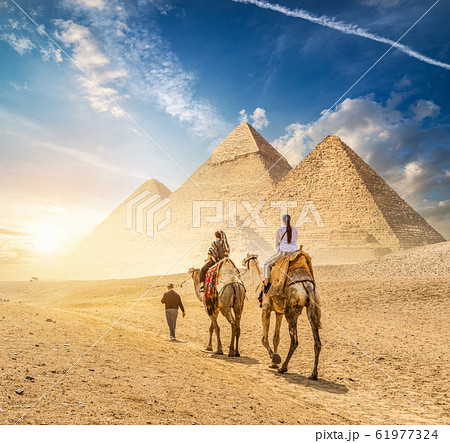 Camel Caravan of Giza Camel Caravan of Giza 61977324