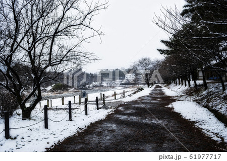 Snow-covered trees and walk path during winter 61977717