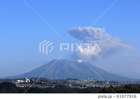 かごしま健康の森公園から見る桜島の噴煙 かごしま健康の森公園から見る桜島の噴煙 61977916