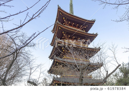 旧寛永寺五重塔 61978384