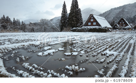 岐阜県 白川郷 雪景色 三つ子 岐阜県 白川郷 雪景色 三つ子 61978609