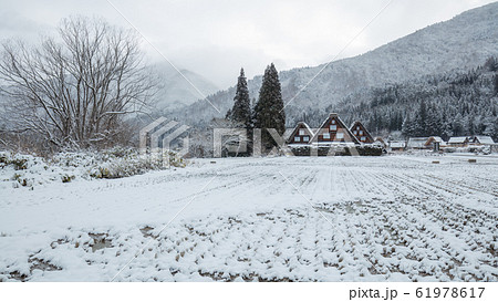 岐阜県 白川郷 雪景色 三つ子 岐阜県 白川郷 雪景色 三つ子 61978617