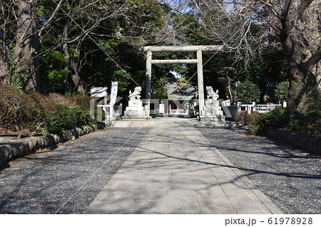 平塚市　前鳥神社 61978928