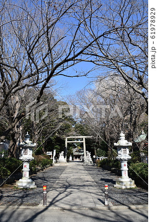 平塚市　前鳥神社 61978929