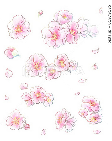 手描きの桃の花イラスト 水彩風 のイラスト素材
