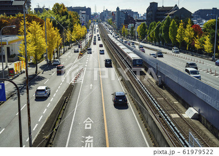大阪・黄葉するイチョウ並木のある秋の新御堂筋 61979522