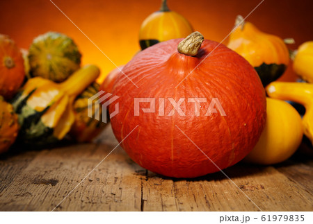 Decorative pumpkins on old wooden table Decorative pumpkins on old wooden table 61979835