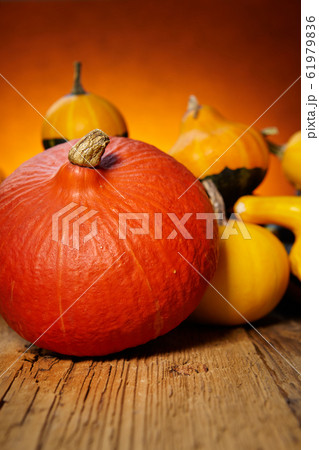 Decorative pumpkins on old wooden table Decorative pumpkins on old wooden table 61979836