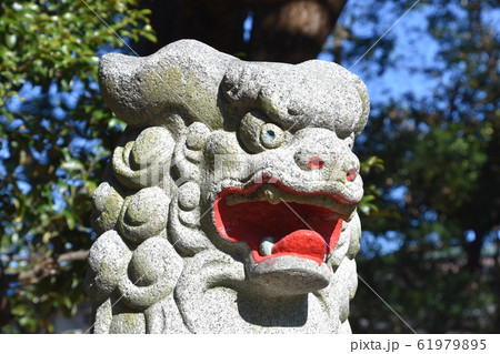 茅ヶ崎市　熊野神社 61979895