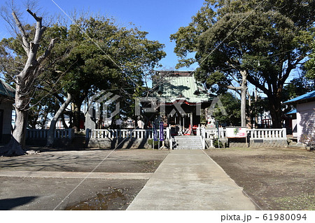 茅ヶ崎市　熊野神社 61980094