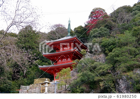 金華山のふもとに朱色の三重塔 金華山のふもとに朱色の三重塔 61980250