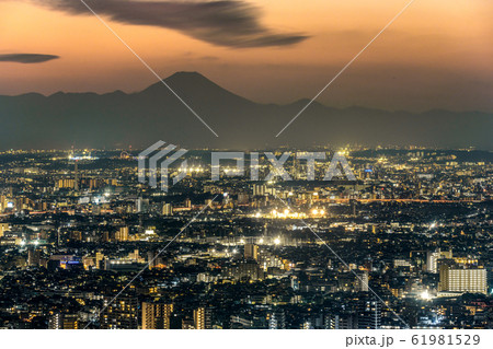 東京都庁から眺める 東京都市夜景と富士山 東京都庁から眺める 東京都市夜景と富士山 61981529