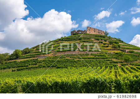 View of the ruins of the castle in Staufen im 61982698