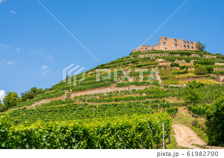 Beautiful view of the ruins of the castle in Beautiful view of the ruins of the castle in 61982700