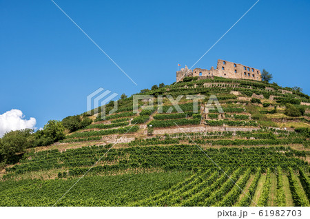 Beautiful view of the ruins of the castle in 61982703