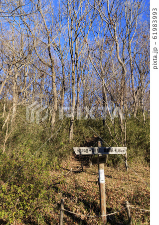 舞岡（冬） 61983993