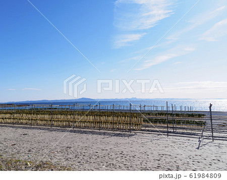 三浦海岸・津久井浜（冬） 61984809