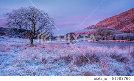 Frost morning at Loch Awe 61985760