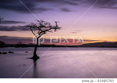 Sunset at Milarrochy Bay, Loch Lomond, Scotland Sunset at Milarrochy Bay, Loch Lomond, Scotland 61985765