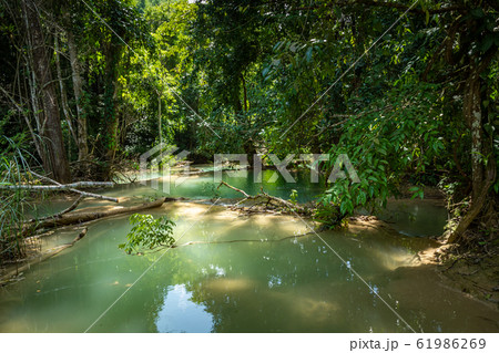 Tad Sae Waterfall in Luang prabang province, Laos 61986269