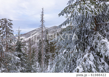 Beskid Zywiecki. Winter in Poland. 61986422