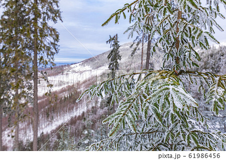 Beskid Zywiecki. Winter in Poland. Beskid Zywiecki. Winter in Poland. 61986456