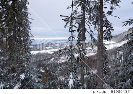 Beskid Zywiecki. Winter in Poland. 61986457