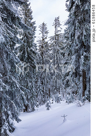 Beskid Zywiecki. Winter in Poland. 61986458