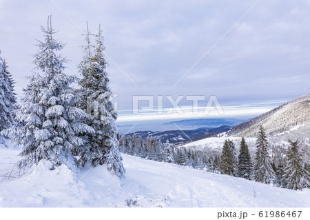 Beskid Zywiecki. Winter in Poland. Beskid Zywiecki. Winter in Poland. 61986467
