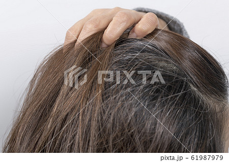 【ミドル　白髪】　 61987979