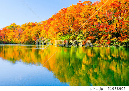 鎌池の紅葉 鎌池の紅葉 61988905