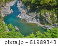 新緑の大歩危峡と遊覧船（徳島県三好市山城町） 61989343