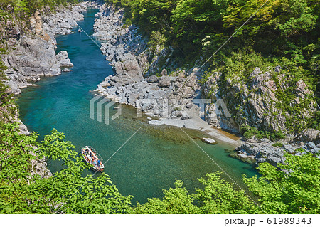 新緑の大歩危峡と遊覧船（徳島県三好市山城町） 61989343