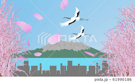 桜に囲まれた桜島と2羽の鶴 61990186