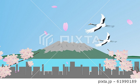 枝付き桜と桜島の絶景のイラスト素材