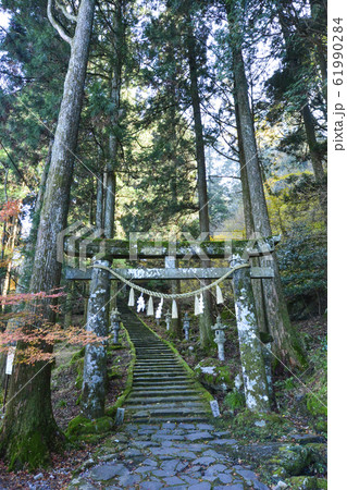 福岡 福岡 61990284