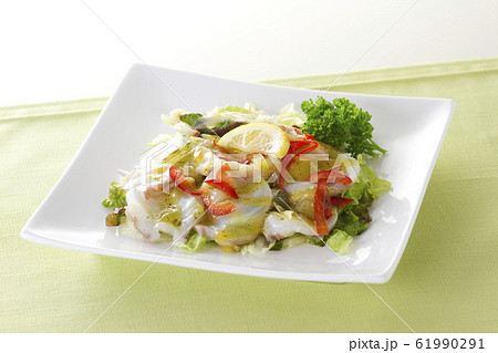 タコのカルパッチョ1 61990291