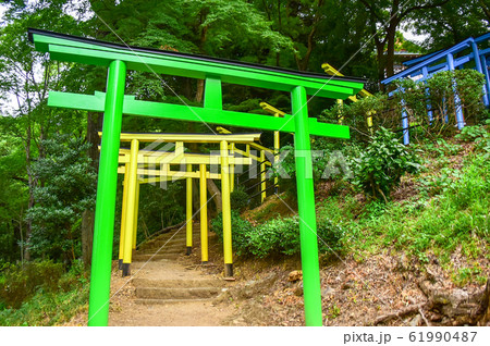 カラフルな鳥居 カラフルな鳥居 61990487