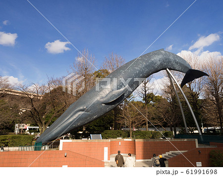 東京都 国立科学博物館 東京都 国立科学博物館 61991698