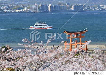 春の宮島の大鳥居 61992122