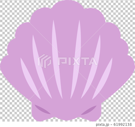 貝殻のイラスト素材 [61992138] - PIXTA