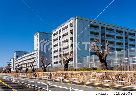 東京都 警視庁警察学校 東京都 警視庁警察学校 61992608