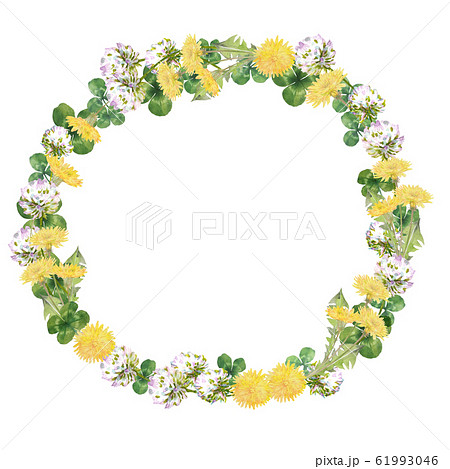 タンポポとクローバーのフレームのイラスト素材