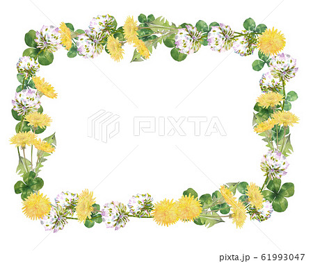 タンポポとクローバーのフレームのイラスト素材