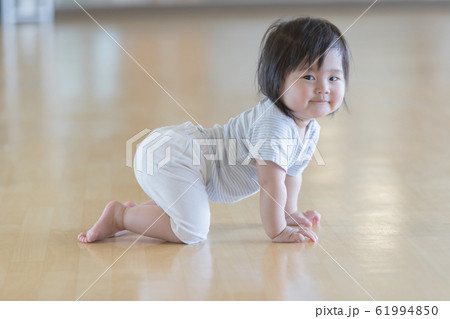 1 year old 1 year old 61994850