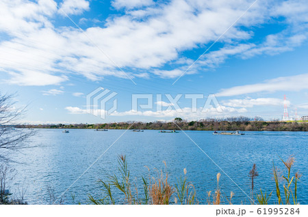 冬の淀川 61995284