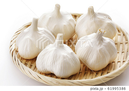 にんにく にんにく 61995386